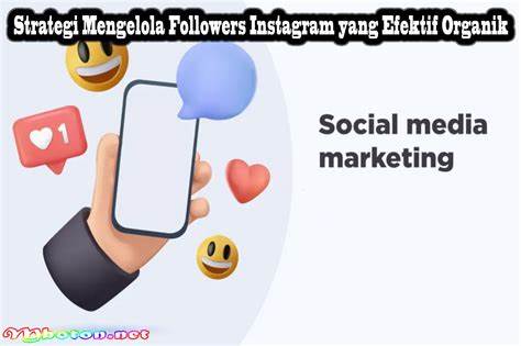 Strategi Organik Instagram Indonesia